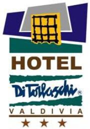 logo_hotel ditorlaschi2